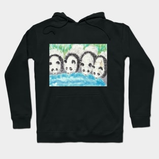 Panda bear drinking water Hoodie